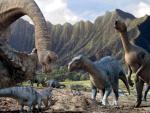 Animals_136