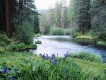 river_076