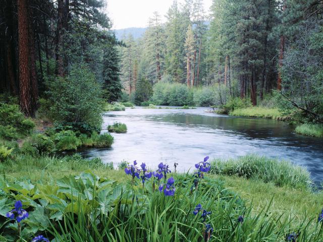 river_076