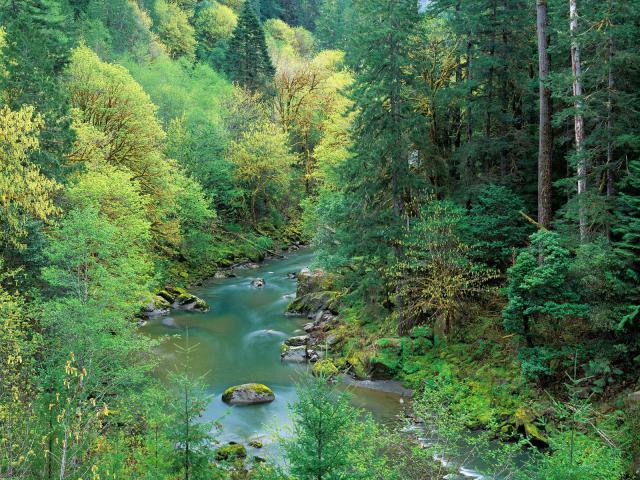 river_078