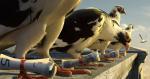 Birds_023