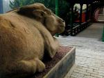 china_220