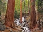 waterfalls_151