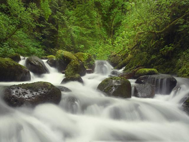 waterfalls_155