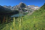 mountains_173