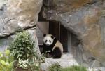 Animals_171