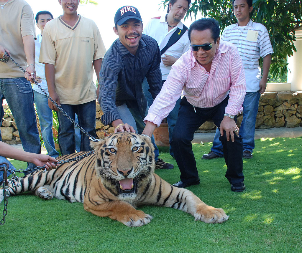pacquiao_09