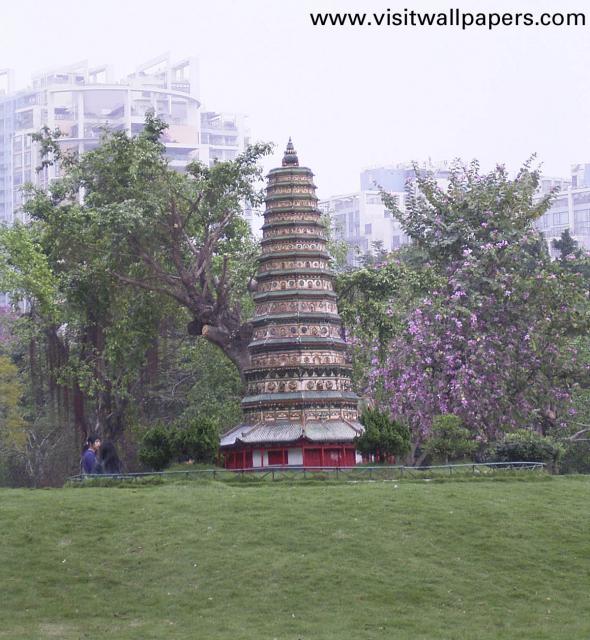 shenzhen_027