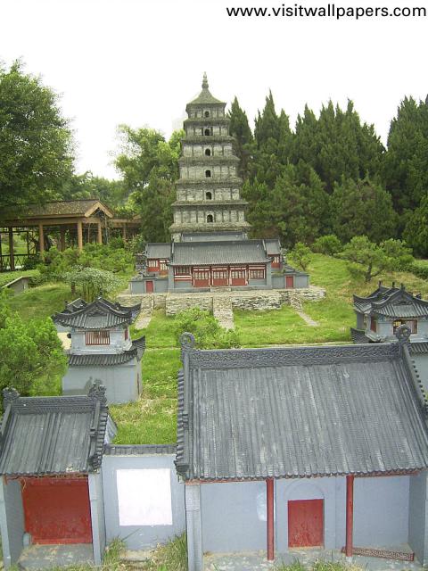 shenzhen_028