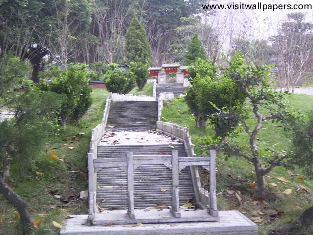 shenzhen_029