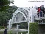 shenzhen_081