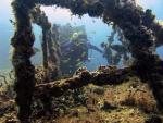 ocean-life-416