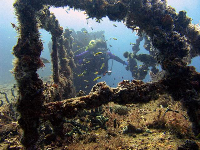 ocean-life-416