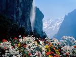 waterfalls_158