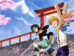 Bleach_565