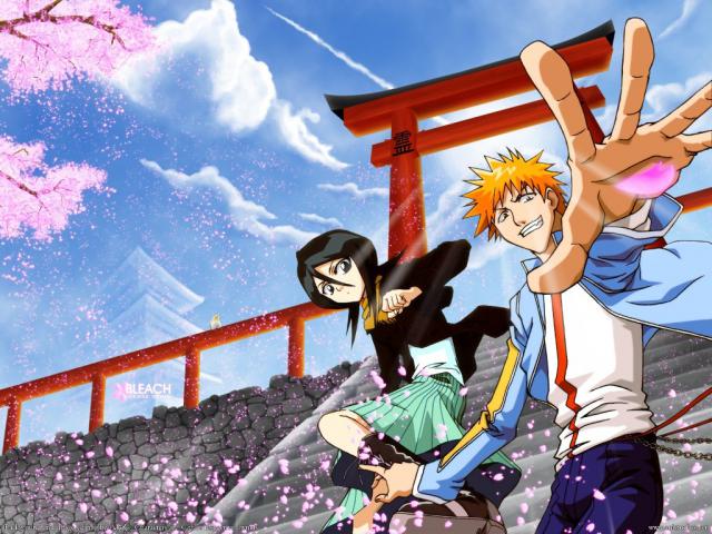 Bleach_565