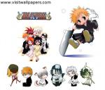 Bleach_573