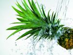 fruit_004