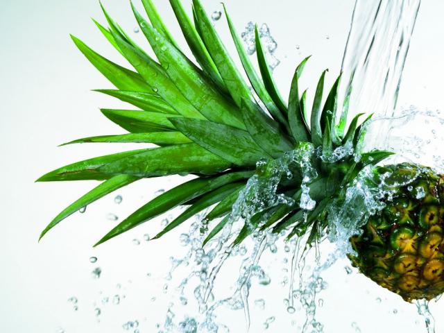 fruit_004