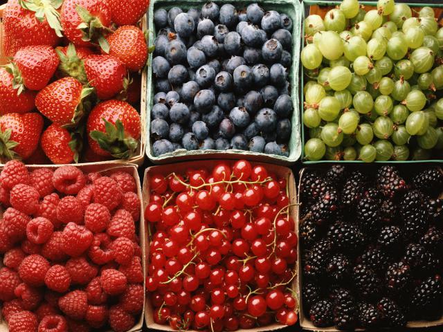 fruit_007