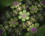 Flowerings_001