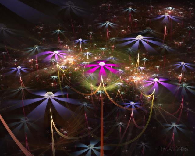 Flowerings_007