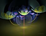 Flowerings_008