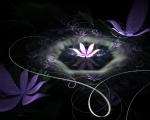 Flowerings_010