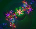 Flowerings_014