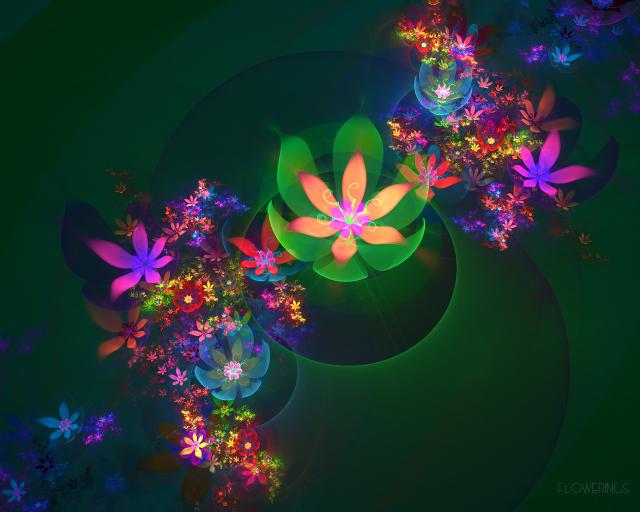 Flowerings_014