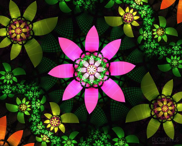 Flowerings_037
