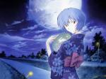 Evangelion_094