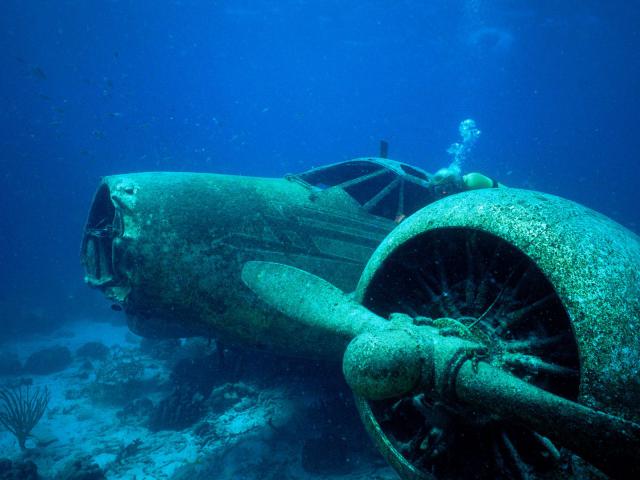 ocean-life-437