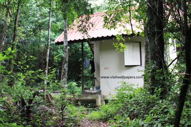 waphukaew_57