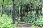 waphukaew_59