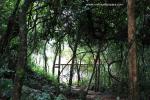 waphukaew_60