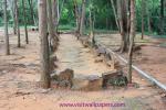 waphukaew_68