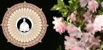 waphukaew_99