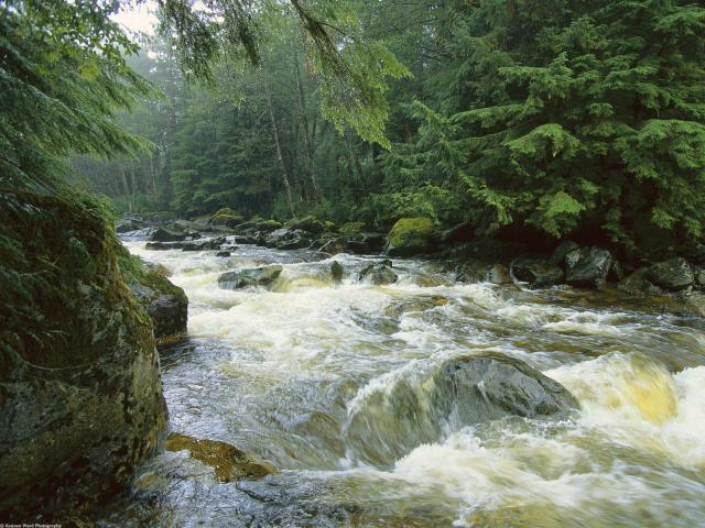 river_095