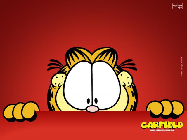 Garfield_45