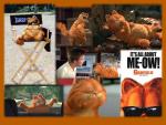 Garfield_47