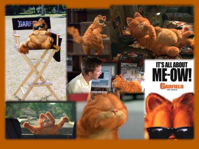 Garfield_47