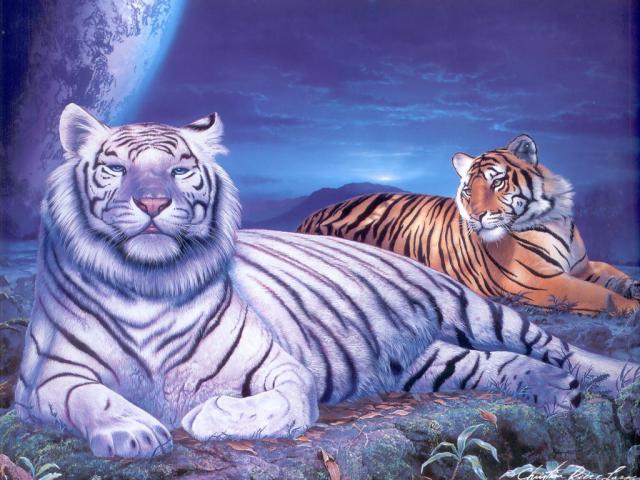 Fantasy_225
