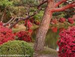 Japan_Temple_05