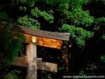 Japan_Temple_10