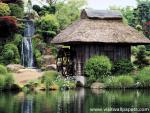 Japan_Temple_13