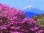 Japan_049