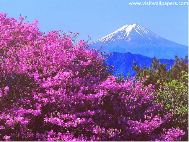 Japan_049
