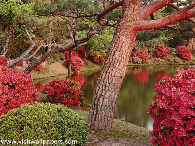 Japan_052