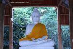 dham_family2_085